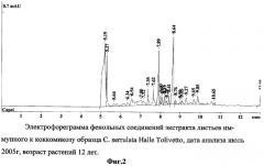 Способ определения устойчивых к коккомикозу форм вишни и черешни (патент 2316951)