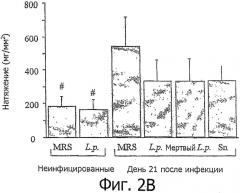 Применение lactobacillus paracasei cncm i-2116 для лечения синдрома раздраженного кишечника (патент 2490325)