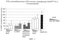 Способный к интерференции дуплекс рнк, имеющий "тупые" концы и 3'-модификации (патент 2399671)