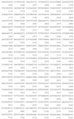 Рекомбинантная плазмида pesat6-cfp10-dbd, рекомбинантный штамм escherichia coli m15 [prep4, pesat6-cfp10-dbd], способ получения, иммобилизации, концентрирования и очистки рекомбинантного белка esat6-cfp10-dbd на декстране, рекомбинантный белок esat6-cfp10-dbd и иммуногенная композиция, содержащая белок esat6-cfp10-dbd (патент 2539026)