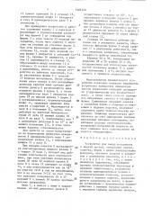 Устройство для ввода материалов в жидкий металл (патент 1481258)