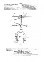 Устройство для формирования потока сыпучей массы (патент 1097808)