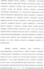 Растения с повышенной урожайностью и способ их получения (патент 2377306)