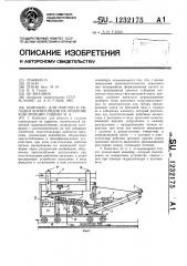Комплекс для очистки и укладки корнеплодов на хранение гущина и.а. (патент 1232175)