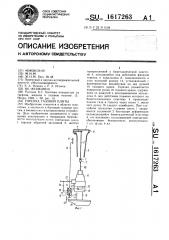 Горелка газовой плиты (патент 1617263)