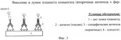 Способ диагностики псевдотуберкулеза (патент 2429480)