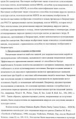 Линии клеток почки собаки майдин-дэрби (mdck), поддерживающие рост вирусов до высоких титров, и способ применения этих клеток в биореакторе (патент 2487935)