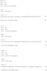 Плазмидный вектор phyp с повышенной сегрегационной стабильностью для экспрессии рекомбинантного белка, бактерия - продуцент предшественника рекомбинантного белка и способ получения рекомбинантного белка (патент 2496877)