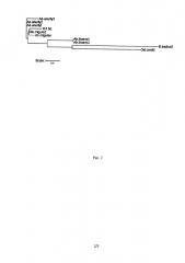 Штамм aneurinibacillus migulanus и его применение для получения грамицидина с (патент 2627182)