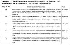 Бактериофаг, обладающий активностью против pseudomonas aeruginosa, белки бактериофага и способы их применения (патент 2580248)