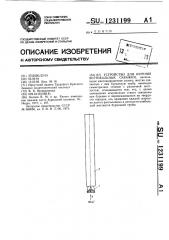 Устройство для бурения вертикальных скважин (патент 1231199)