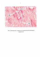 Способ лечения экспериментальной амилоидной кардиопатии у крыс (патент 2657844)