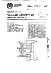 Программируемая логическая матрица (патент 1381481)