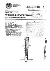 Способ крепления горных выработок (патент 1481425)