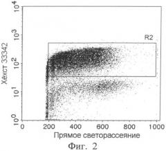 Способ оценки радиочувствительности рака верхних дыхательных путей (патент 2505817)