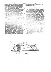 Выравниватель почвы (патент 933010)