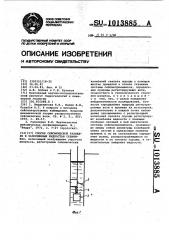 Способ сейсмической разведки в заполненных жидкостью скважинах (патент 1013885)