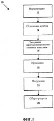 Композиции глюкана (патент 2490279)