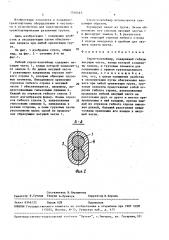 Строп-контейнер (патент 1516445)