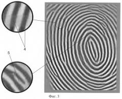 Способ формирования и верификации биометрического кода отпечатка пальца (патент 2413297)