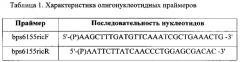 Набор 5'-фосфорилированных олигонуклеотидных праймеров для амплификации методом полимеразной цепной реакции полной кодирующей последовательности гена мембранного протеина ttss hrcv burkholderia pseudomallei (патент 2608506)