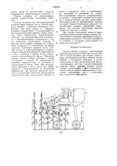 Способ уборки кукурузы (патент 1565395)