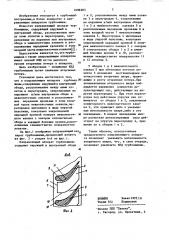 Направляющий аппарат турбомашины (патент 1089283)