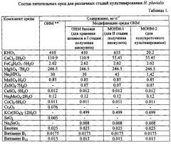 Способ культивирования одноклеточной зеленой водоросли haematococcus pluvialis для получения астаксантина (патент 2541455)