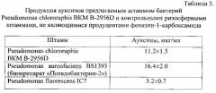 Штамм бактерий pseudomonas chlororaphis для защиты растений от фитопатогенных грибов и бактерий и стимуляции роста растений (патент 2588473)