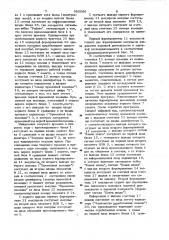 Программное временное устройство (патент 995066)