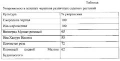 Способ размножения садовых растений зелеными черенками (патент 2647272)