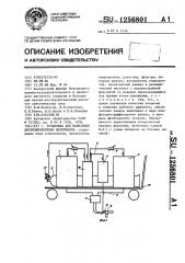 Установка для нанесения двухкомпонентных материалов (патент 1256801)