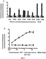 Композиция для усиления экспрессии трансгена в эукариотических клетках и способ увеличения продукции целевого белка, кодируемого трансгеном (патент 2546249)