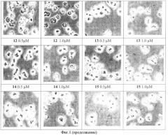 Средство, стимулирующее апоптоз клеток лейкемии человека (варианты) (патент 2372919)