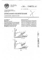 Распылитель (патент 1748773)