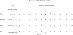 Процесс получения поксвирусов и композиции поксвирусов (патент 2489486)