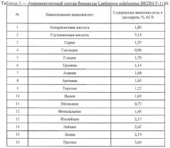 Штамм гриба laetiporus sulphureus - продуцент биологически активных веществ (патент 2584602)