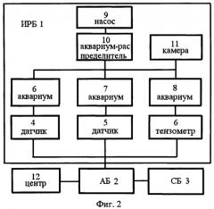 Система оперативного биологического мониторинга и индикации (патент 2437093)