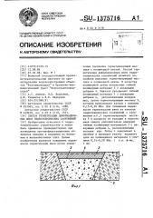 Способ герметизации деформационных швов гидротехнических сооружений (патент 1375716)