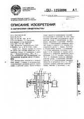 Устройство для исследования сопротивления вращению диска турбомашины (патент 1255896)