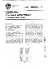 Топливная система дизельного двигателя (патент 1710811)