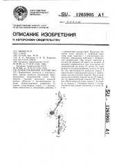Коммутационное устройство (патент 1265905)
