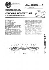 Шаговый конвейер (патент 1202976)