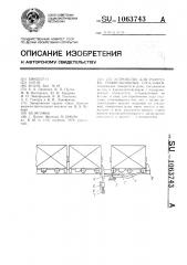 Устройство для разгрузки гравитационных стеллажей (патент 1063743)