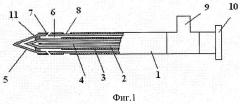 Способ высокотемпературного разрушения биоткани и устройство для его осуществления (патент 2317793)