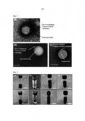 Противораковые наночастицы с улучшенной направленной доставкой и способ их получения (патент 2652436)