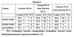 Микроорганизмы corynebacterium, способные утилизировать ксилозу, и способ получения l-лизина с применением таких микроорганизмов (патент 2584593)