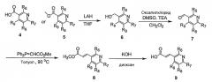 Новые соединения, их изомер или их фармацевтически приемлемые соли в качестве антагониста ванилоидного рецептора и содержащая их фармацевтическая композиция (патент 2448108)