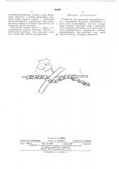 Устройство для крепления виноградной лозы к шпалерной проволоке (патент 394009)