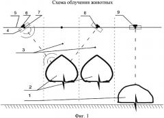 Способ ультрафиолетового облучения животных (патент 2605340)